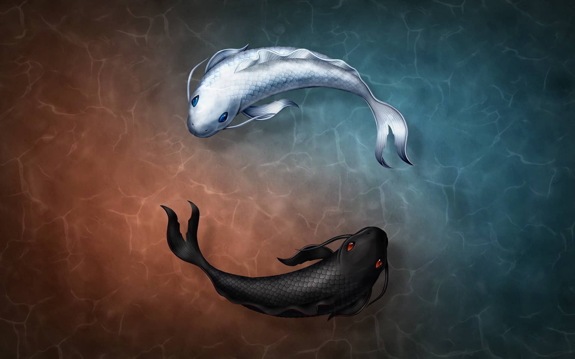 wallpapersden.com_yin-and-yang-fish-symbol_1920x1200